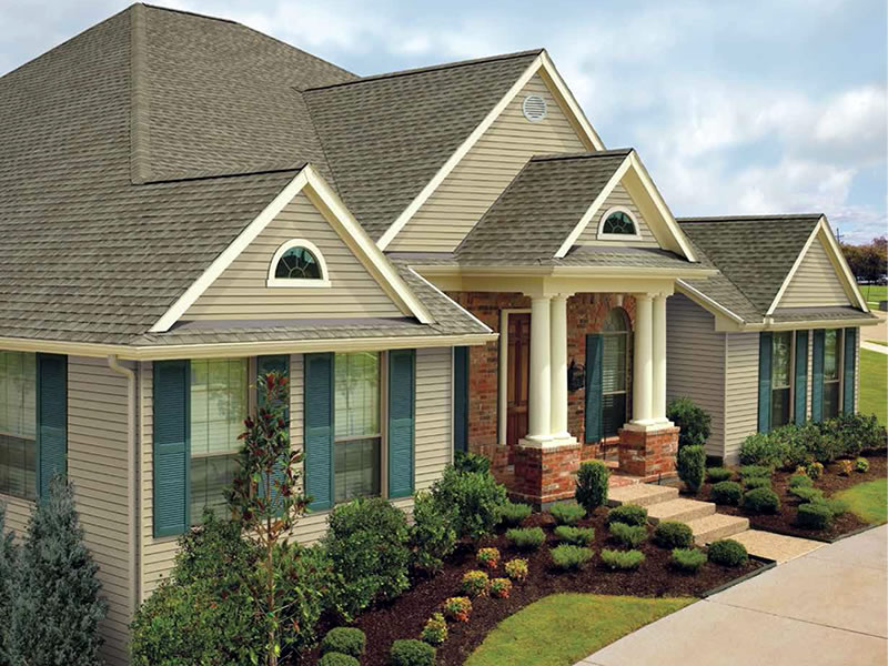 Shingle Gallery