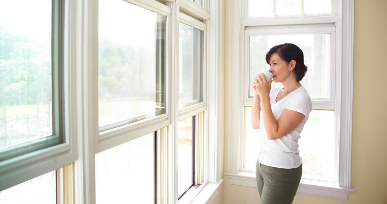 See-Thru Windows-Reviews